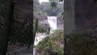 ezhara kund waterfalls kannur [upl. by Eecrad]