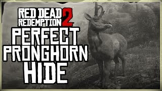 HOW TO GET A PERFECT PRONGHORN HIDE  RED DEAD REDEMPTION 2 PRISTINE PRONGHORN HUNT 3 STAR [upl. by Eenahs720]