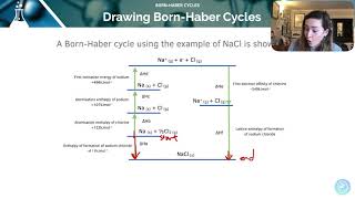 Construction of BornHaber Cycles  ALevel Chemistry  AQA OCR Edexcel [upl. by Adore]