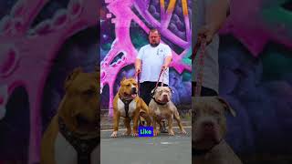 Wolves vs Cane Corso Pitbull and Kangal Who Wins😯 shorts pitbull dogs [upl. by Eeldivad]