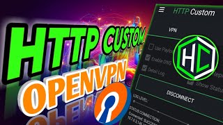 How to Set Up an OpenVPN Server on HTTP Custom VPN [upl. by Assilaj369]