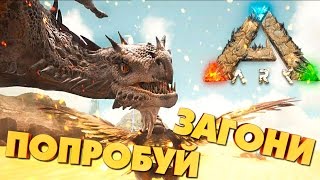 ARK SCORCHED EARTH  ЗАГОНЯЕМ ВИВЕРНУ НА МЕДЛЕННОМ АРГЕНТЕ  Соло Выживание в21 [upl. by Gathers]