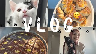 VLOG DİKKAT BU VİDEO BOL TARİF İÇERİR❗️İSLİM KEBABI 😋 BROWNİ TADINDA ISLAK KEK  YELPAZE POĞAÇA 🥯 [upl. by Gardell288]