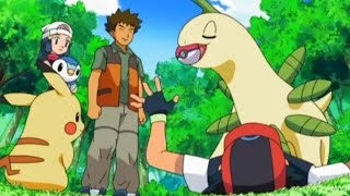 Ashs Bayleef Returns In Sinnoh Hindi Pokémon Sinnoh League Victors In Hindi [upl. by Eigger]