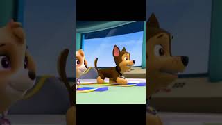 Pup Pup Boogie pawpatrol puppupboogie shorts chase pawpatrolboogie [upl. by Asseniv]