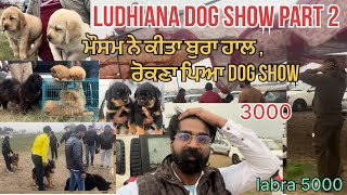 Ludhiana Dog show part 2  mosam hoya khrab street Dog market [upl. by Hanleigh]