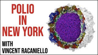 Polio in New York [upl. by Ajim]