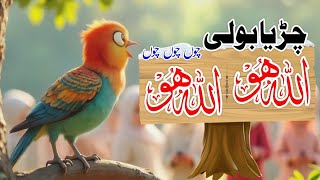 Aik Chirya Boli Choo Choo  ALLAH HOO ALLAH HOO  Urdu Hindi Poems For Kids Nursery Rhymes For Kids [upl. by Eeniffar683]