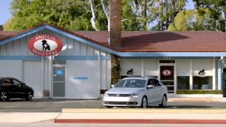 2013 Jetta Commercial Bad Dog Good Volkswagen [upl. by Adelheid]