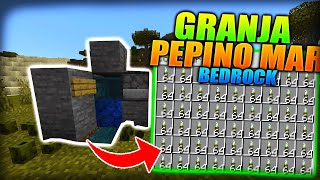 COMO HACER una GRANJA de PEPINO de MAR en MINECRAFT BEDROCK [upl. by Fernando]