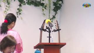 Judson Baptist Church Singapore  Main Service 13November2022 [upl. by Nnylhtak]