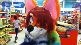 Fursuiting In PetSmart [upl. by Attinahs357]