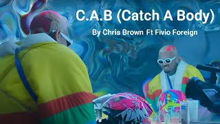 Chris Brown  CAB Catch A Body Lyrics [upl. by Adnilra]