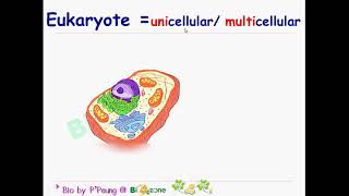 prokaryote vs eukaryote [upl. by Disini912]