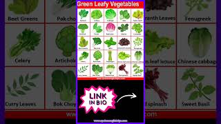 Green Leafy Vegetables Names [upl. by Muslim]