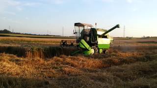 dreschen mit deutzfahr m3360 [upl. by Spears80]