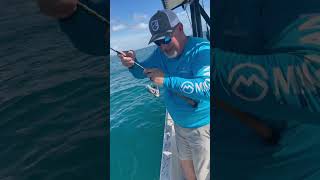 Best fishing video in 2024 unbelievable catch first time ever [upl. by Marje]