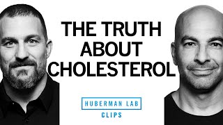 The Truth About Dietary Cholesterol  Dr Peter Attia amp Dr Andrew Huberman [upl. by Sperling]