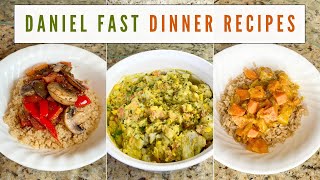 Daniel Fast Dinner Recipes amp Meal Ideas  Quick amp Easy [upl. by Uliram966]