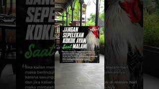 Dibaca dengan teliti semoga bermanfaat edukasidiri quotes videoshorts katakatabijak pasutri [upl. by Ameyn695]