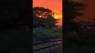 යාල් දේවි ANURADHAPURA train trending travel for you shorts [upl. by Nosreffej403]