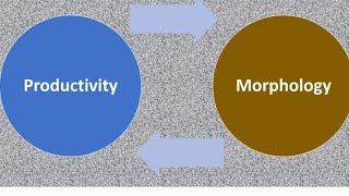 Morphological Productivity Rules of Lexeme Formation [upl. by Irianat]