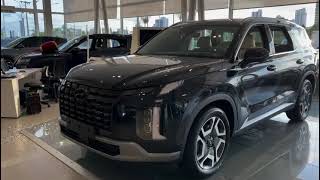 HYUNDAI PALISADE 2025 ESPETÁCULO [upl. by Gillie]