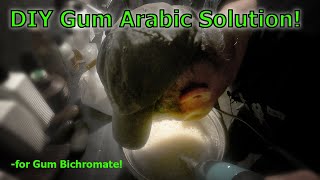 Gum Arabic Solution For Gum Bichromate Printing [upl. by Anetta]