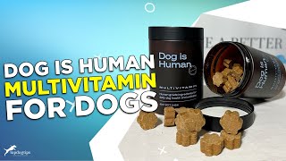 Review Dog Is Human Multivitamin for Dogs [upl. by Fiann]