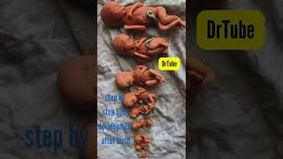 baby development from 4 months  भ्रूण का विकास माह दर माह pregnancy baby fetus embryo growth [upl. by Pinchas]