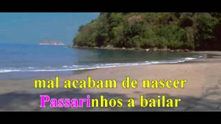 Passarinhos a Bailar Karaoke YouTube [upl. by Viviene]