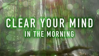 Clear Your Mind in the Morning  A Guided Mindfulness Meditation 8 minutes [upl. by Bander509]