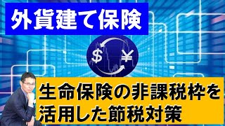 【外貨建て保険】生命保険の非課税枠を活用した節税対策【税理士智春のつぶやき】 [upl. by Holton]