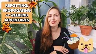 Plant chores and weekend vlog 🍹🌿 office party thrifting and more [upl. by Cleodell]