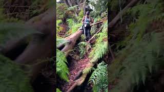 Mt Apo Kapatagan Digos Trail musicnotownedbyme solotraveladventure mtapo hiking philippines [upl. by Dry]