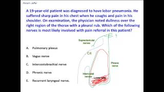 Pain Perception Intro Psych Tutorial 51 [upl. by Akinyt]