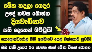 මේක හදලා ගෙදර උදේ හවස බොන්න  දියවැඩියාව කොලොස්ටරෝල් සීනී අක්මාවේ තෙල් සති දෙකෙන් සුව වෙනවා [upl. by Jacquet]