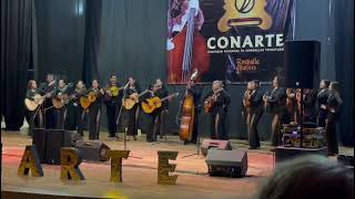 Ammore Rondalla Dinastía de Puebla [upl. by Fennessy]