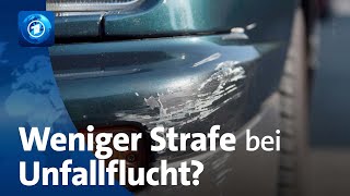 Diskussion über Strafen bei Unfallflucht [upl. by Adaha838]