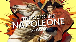 Noccioline 42  NAPOLEONE BONAPARTE SPIEGATO FACILE in 5 MINUTI [upl. by Eiramit278]