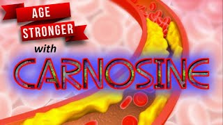 How to AGE STRONGER with Carnosine [upl. by Seugram706]