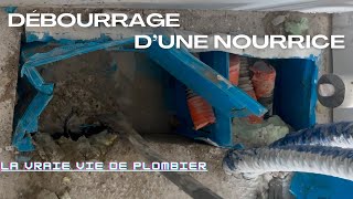 Débourrage dune nourrice pour PER [upl. by Ainimre549]