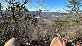 Becalmed cliff side harmonica [upl. by Salaidh]