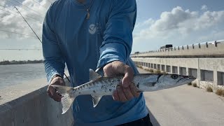 Florida Keys Bridge Fishing [upl. by Jethro]