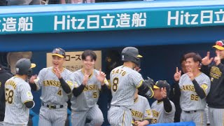 【ベンチ】サトテル再び！2日連続勝ち越し弾2号！20240406 阪神タイガースvsヤクルトスワローズ [upl. by Laktasic160]