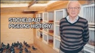 STICHELBAUT PIGEONS HISTORY [upl. by Kus]