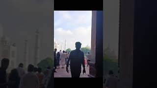 Taj Mahal WhatsApp Status Videorikuvlogs delhi tinding likeforlikes viralshorts [upl. by Dnilasor]