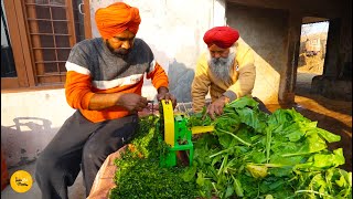 Punjab Farmer Making Village Style Sarson Da Saag Makke Di Roti Rs 99 Only l Jalandhar Street Food [upl. by Pavla]