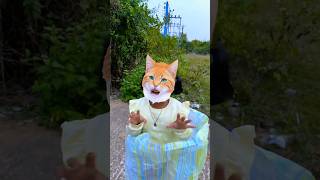 Wait For The Billi🐱🤣mistihappylifestyle shorts viral funny trending shortvideo [upl. by Oakman]