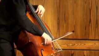 Nicholas Walker  Bach Allemande from Suite BWV 1008 in D minor on Double Bass [upl. by Melisande]